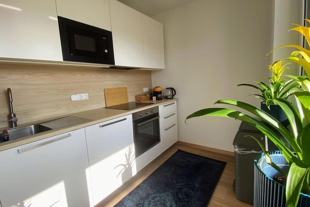 Strahlende Erdgeschoss-Wohnung Im Neubau Naehe Legoland Ichenhausen Buitenkant foto